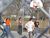fam_fr24.html