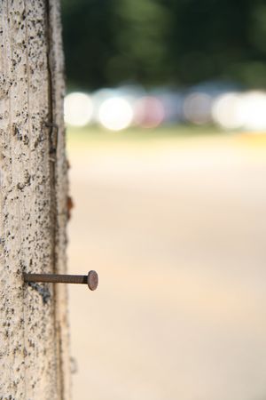A nail in a utility pole