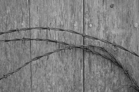 Barbed wire coils