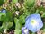 lastdays14.html