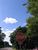 lastdays19.html