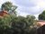 lastdays25.html