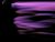 lastdays29.html