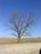 midwest4.html