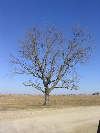 Country road sentry, IL