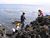 mofam_fr8.html