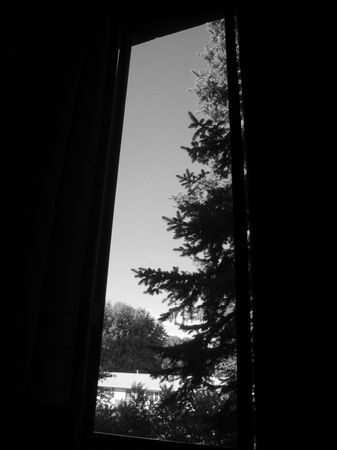 5:Window
