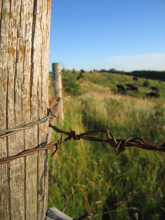 A barbed wire fence