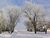 scenic6.html