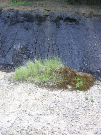 Old strip mine below Red Rock dam