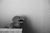 silvers_i8.html