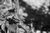 silvers_i10.html