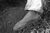 silvers_i11.html