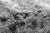 silvers_i16.html