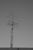 silvers_ii17.html