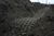silvers_ii5.html